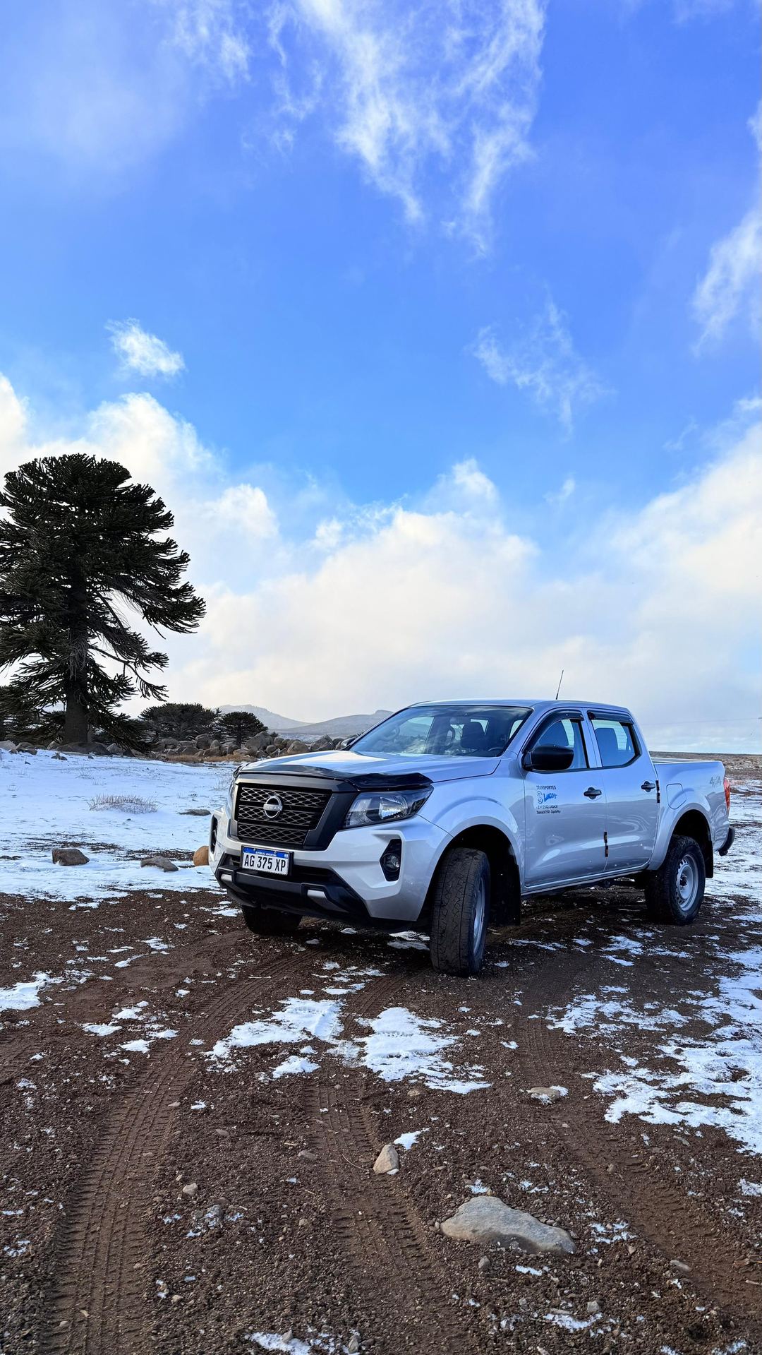 Nissan Frontier de Transportes Lucas junto a araucaria patagónica